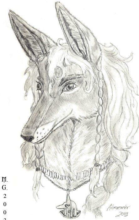 Portray of a fuzzy face