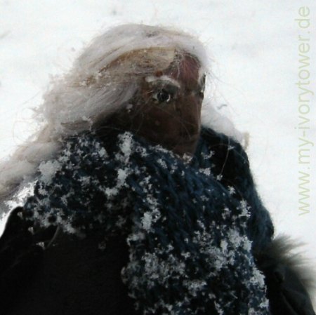 The Icefalcon in the snow