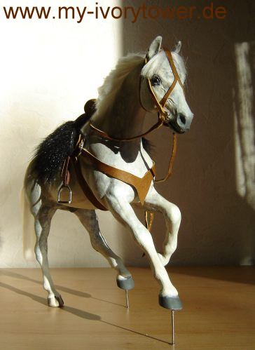 gear for his horse 2